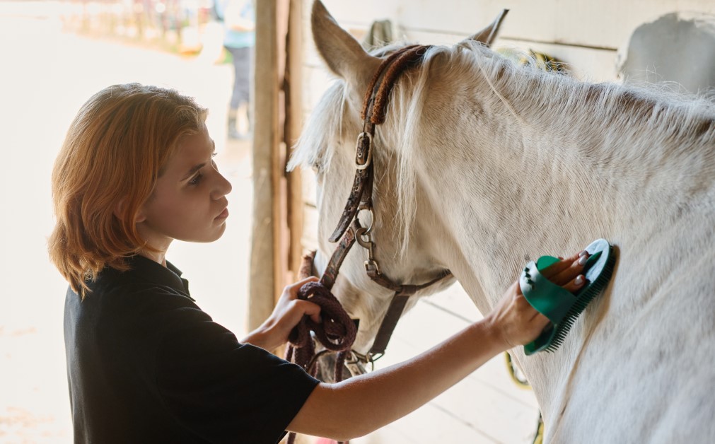 Essential Horse Grooming Techniques for a Healthy Coat